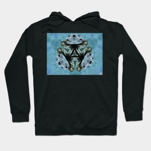 Abstract Anhinga Hoodie